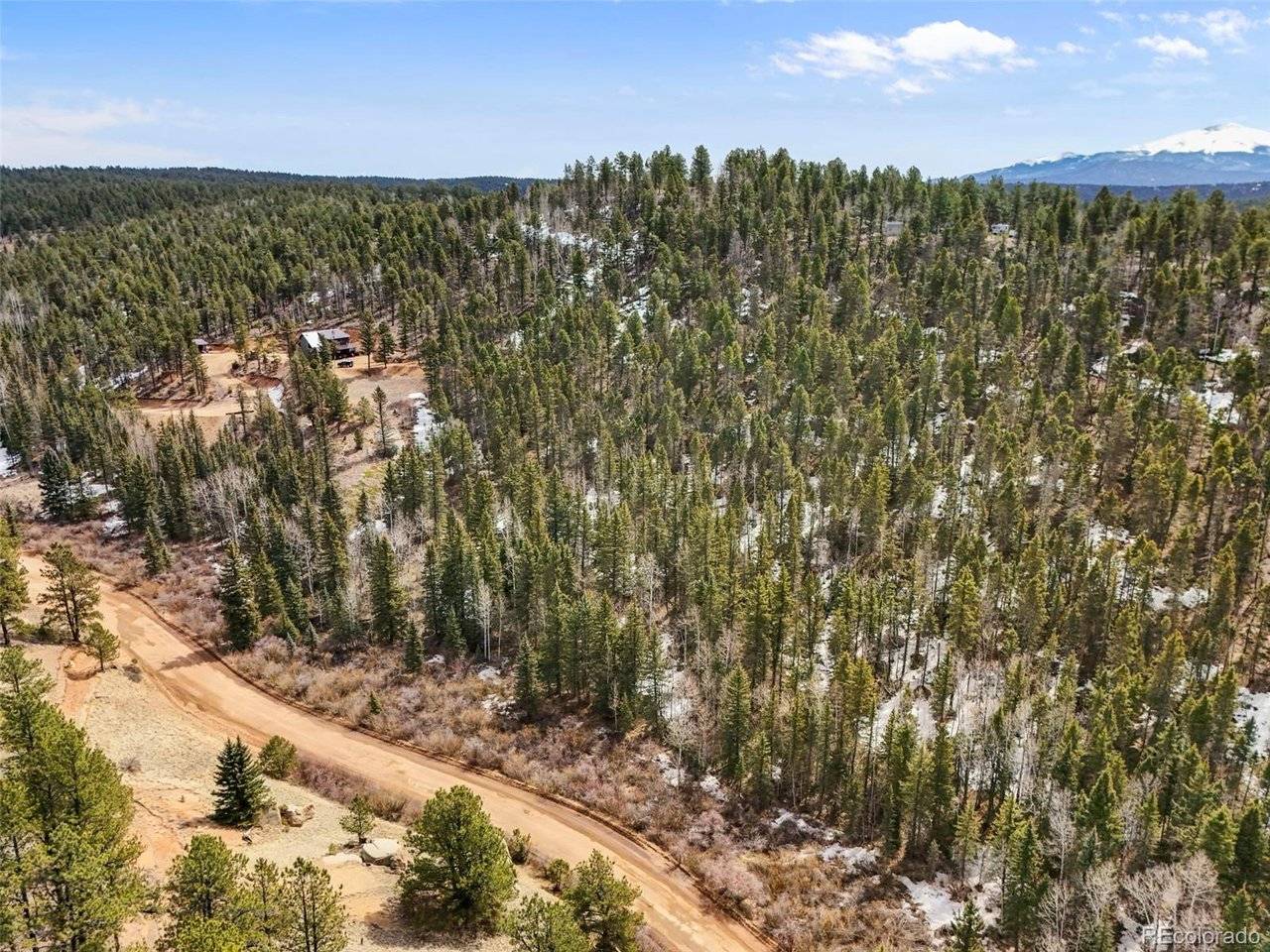 464 E Bison Creek, Florissant, CO 80816