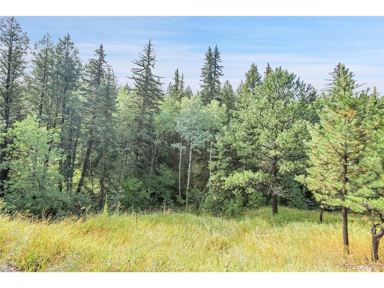 TBD Mountain Park, Evergreen, CO 80439