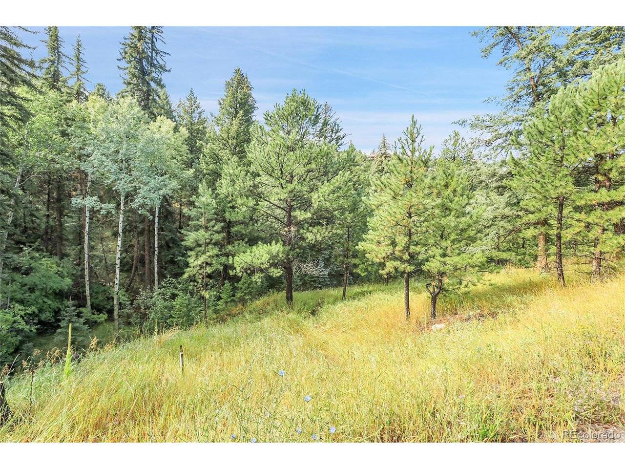 TBD Mountain Park, Evergreen, CO 80439