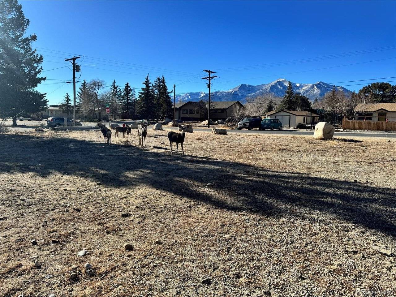 513 Gold, Buena Vista, CO 81211