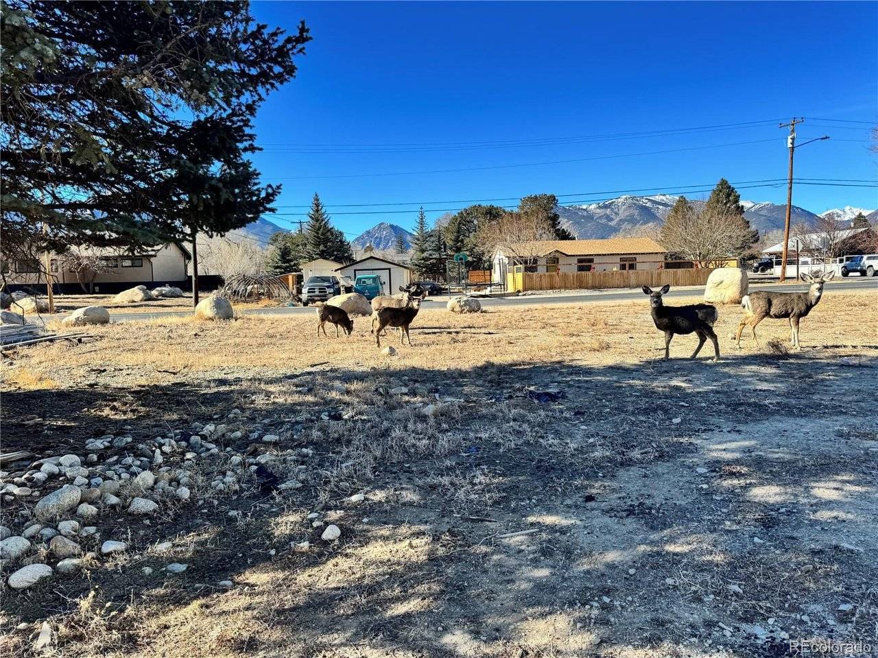 513 Gold, Buena Vista, CO 81211