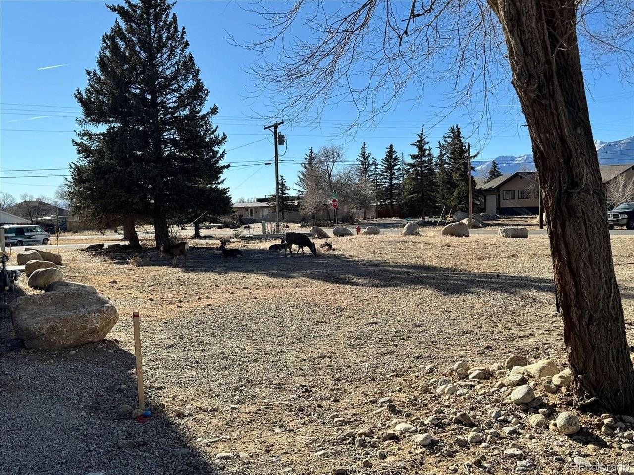 513 Gold, Buena Vista, CO 81211