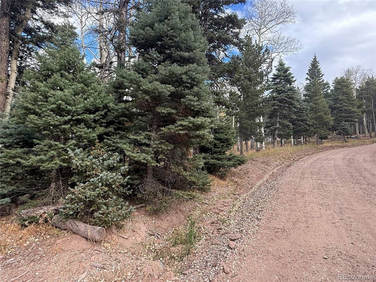 2663 Petito, Fort Garland, CO 81133