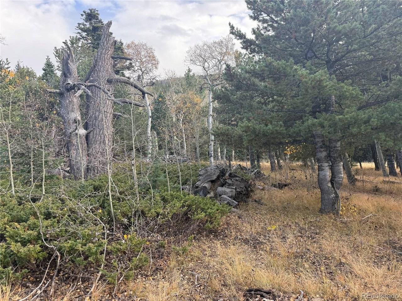 2663 Petito, Fort Garland, CO 81133
