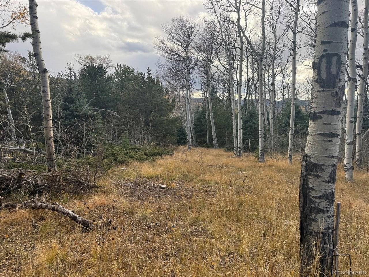 2663 Petito, Fort Garland, CO 81133