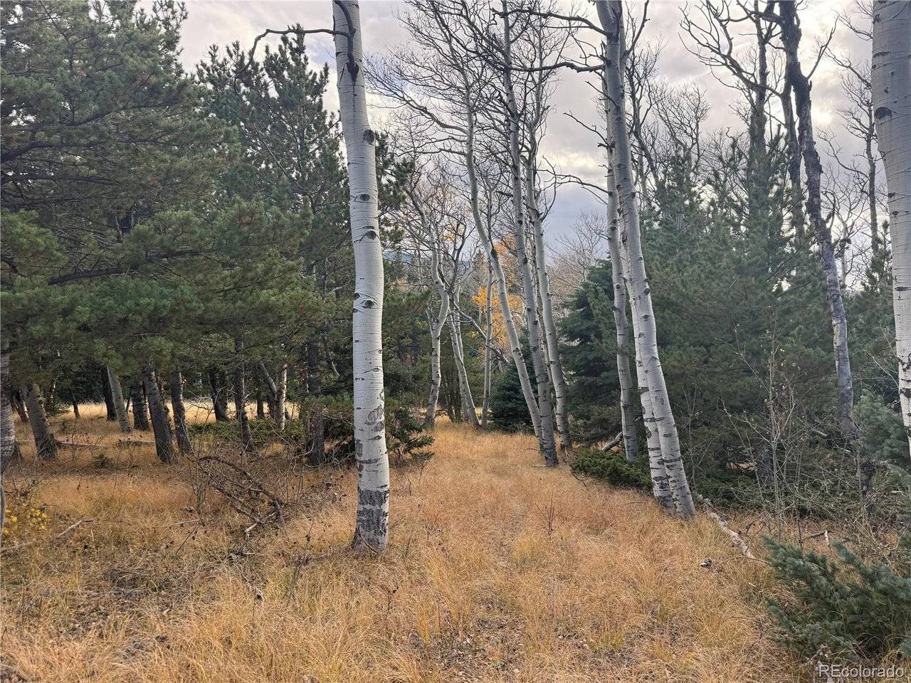 2663 Petito, Fort Garland, CO 81133