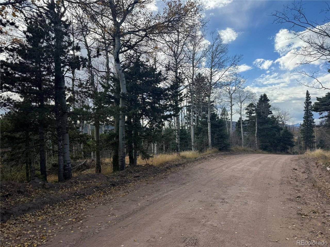 2663 Petito, Fort Garland, CO 81133