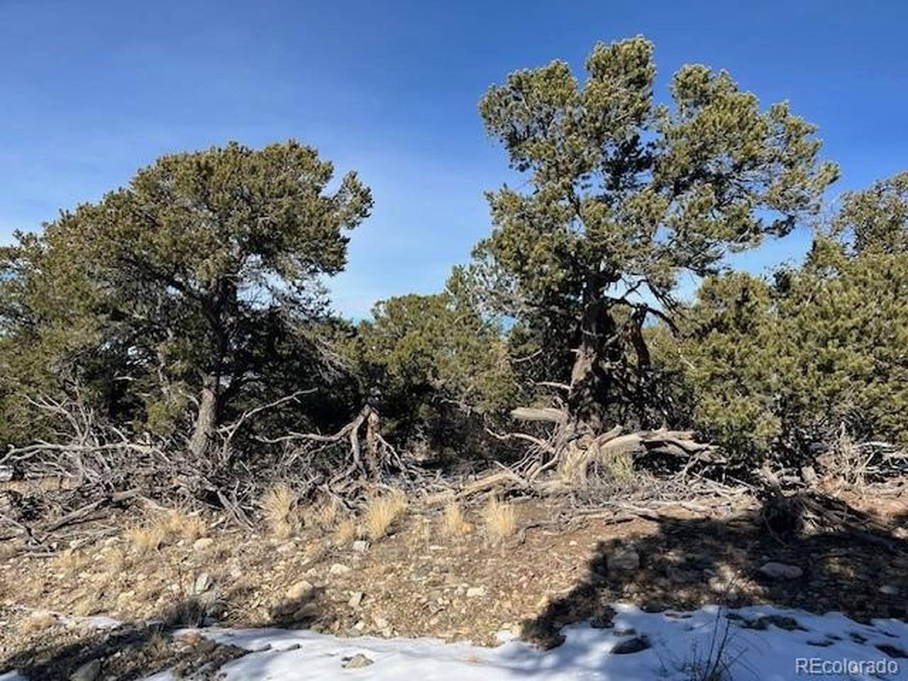 209 Blanca, Mosca, CO 81146