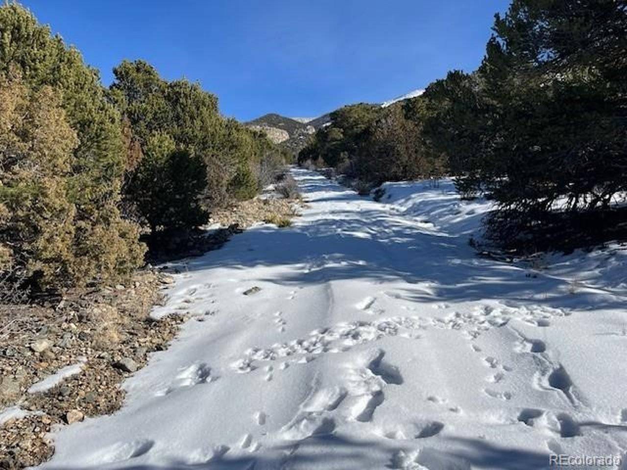 209 Blanca, Mosca, CO 81146