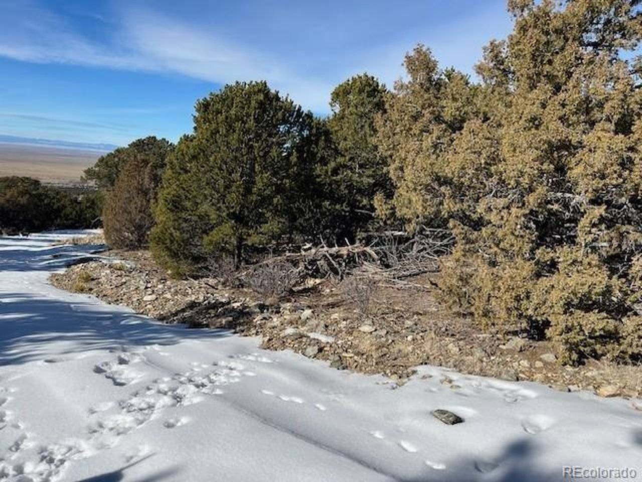 209 Blanca, Mosca, CO 81146