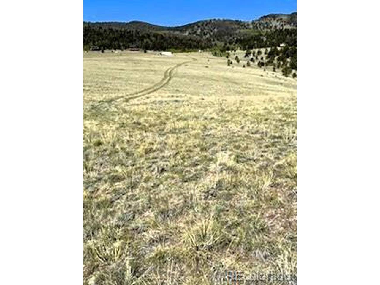 7493 Ranch, Hartsel, CO 80449