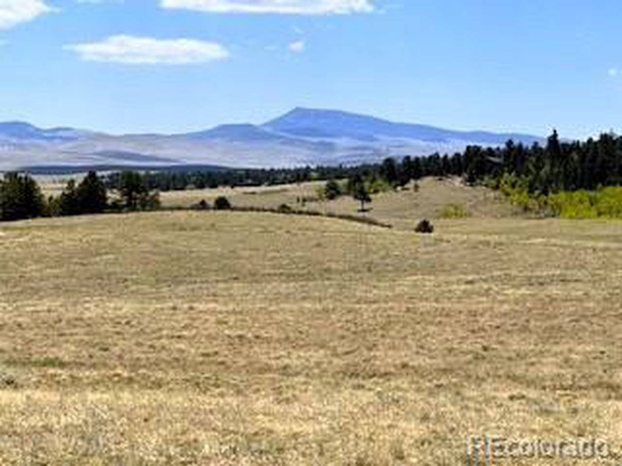 7493 Ranch, Hartsel, CO 80449