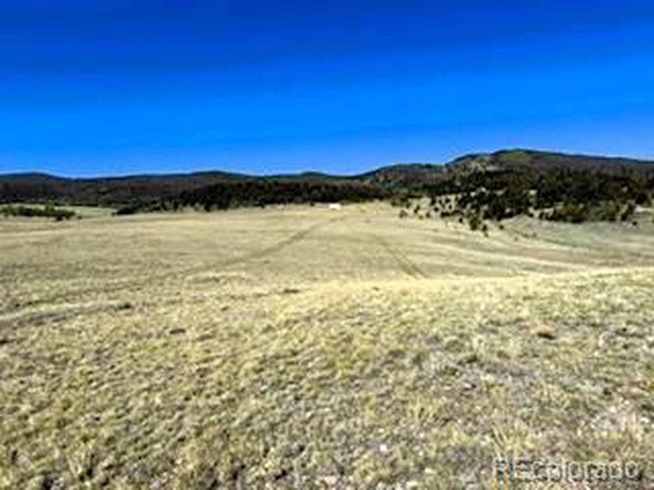 7493 Ranch, Hartsel, CO 80449