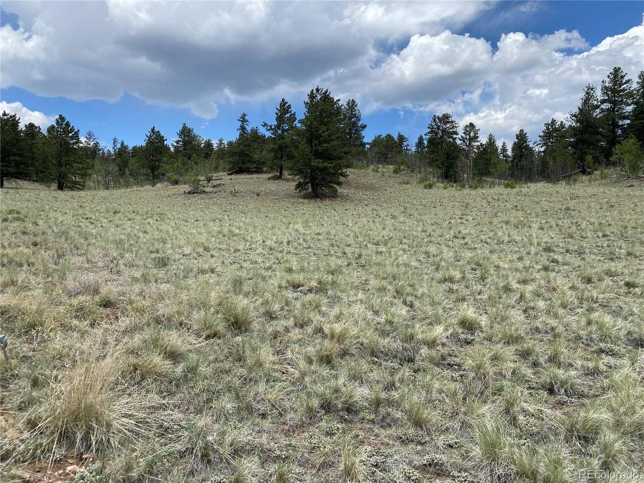 0 Al Gulch, Jefferson, CO 80456