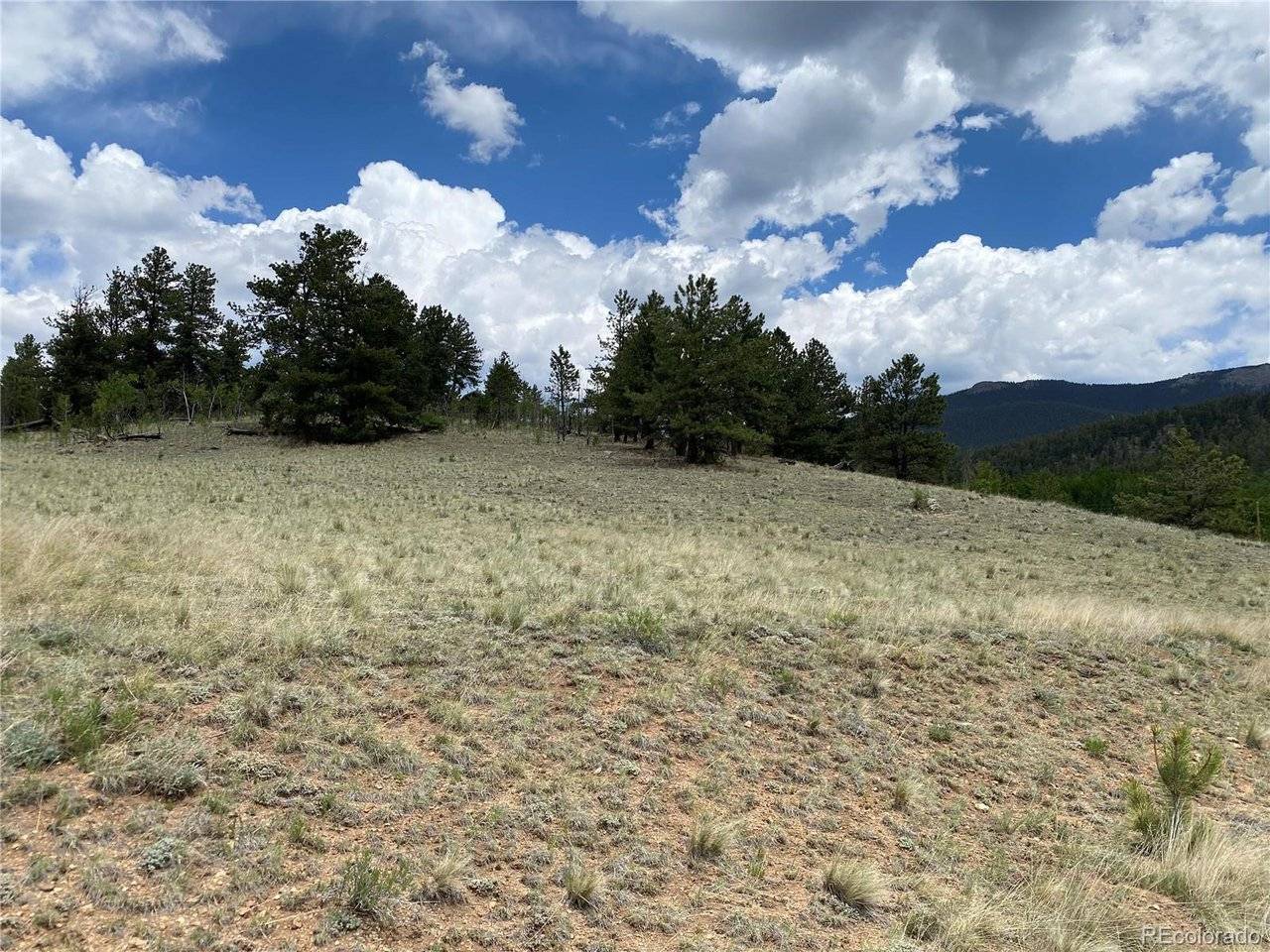 0 Al Gulch, Jefferson, CO 80456
