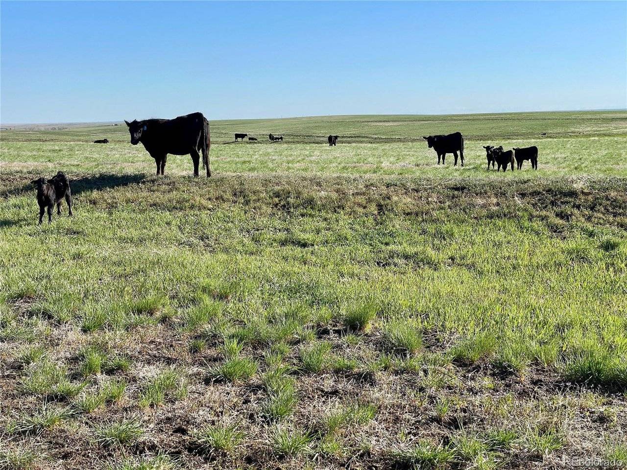 County Road 125, Deer Trail, CO 80105