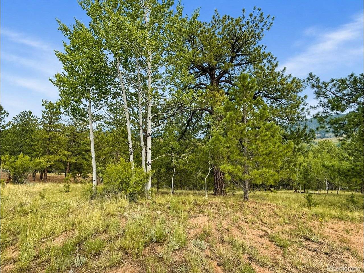 88 May Queen, Cripple Creek, CO 80813