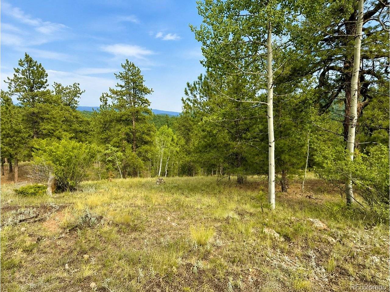 88 May Queen, Cripple Creek, CO 80813