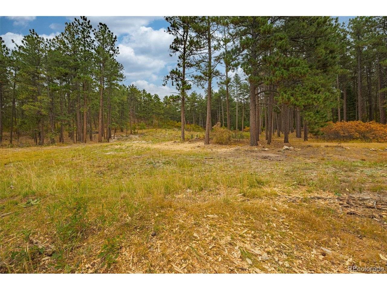 14420 S Perry Park, Larkspur, CO 80118