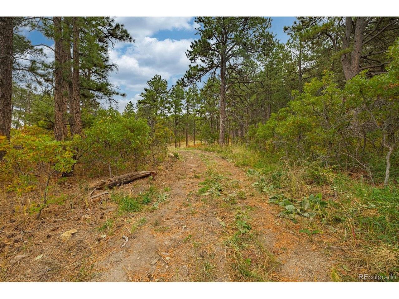 14420 S Perry Park, Larkspur, CO 80118