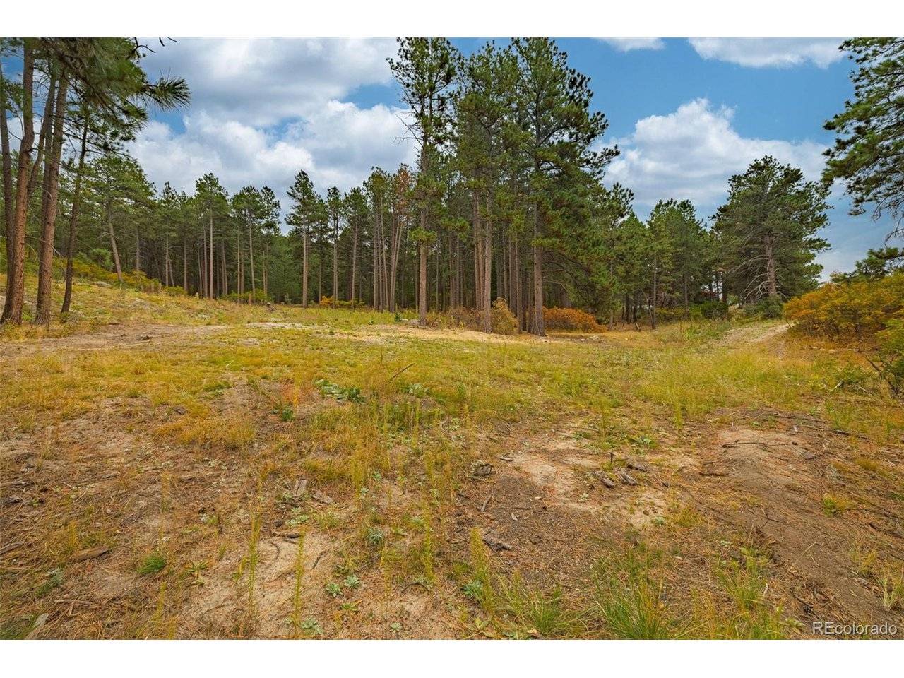 14420 S Perry Park, Larkspur, CO 80118