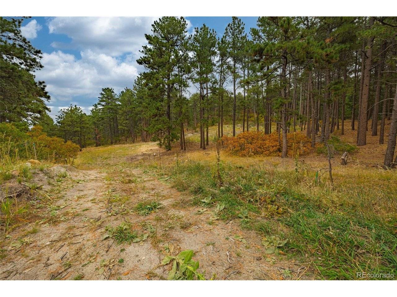 14420 S Perry Park, Larkspur, CO 80118