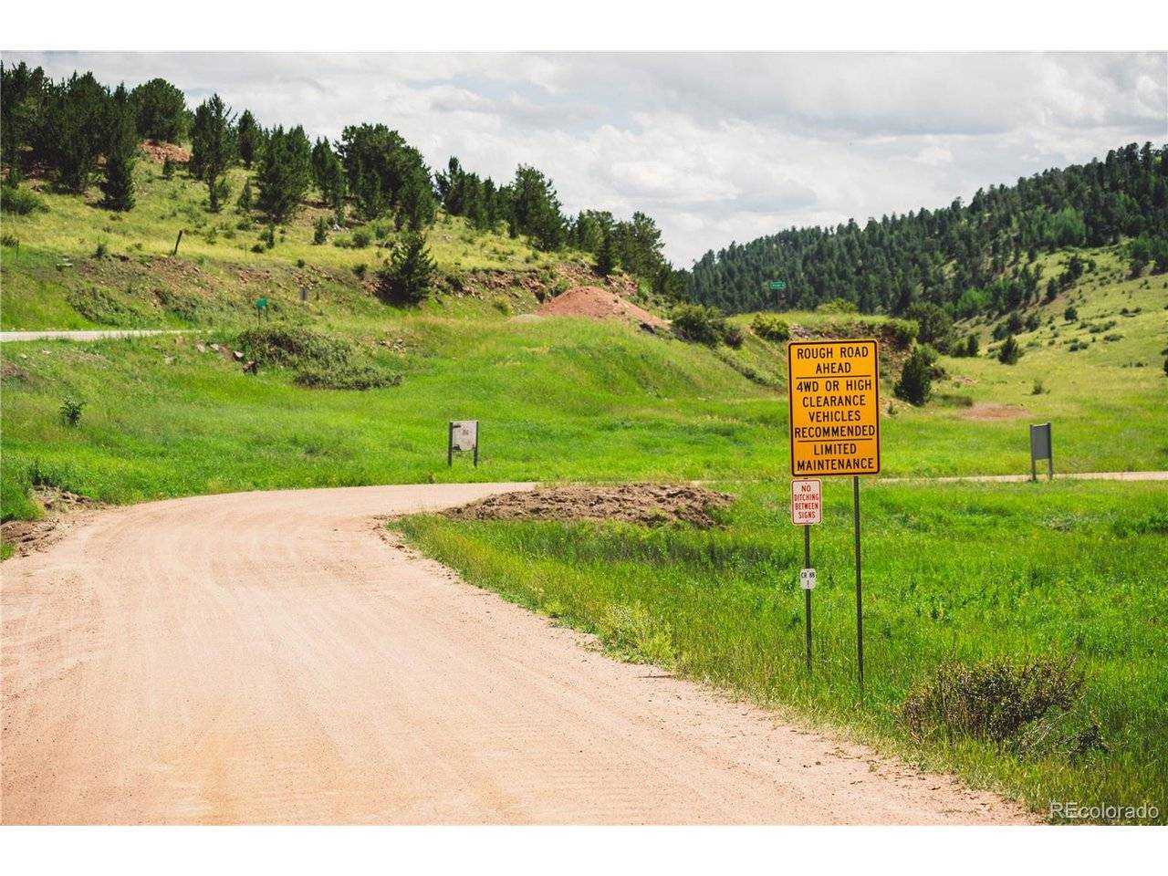 Shelf, Florissant, CO 80816