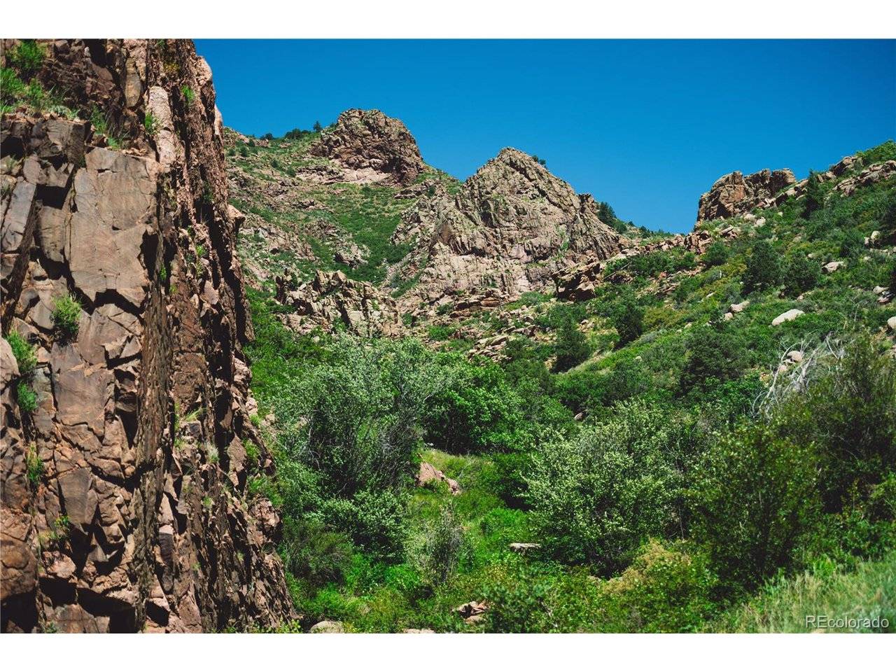 Shelf, Florissant, CO 80816