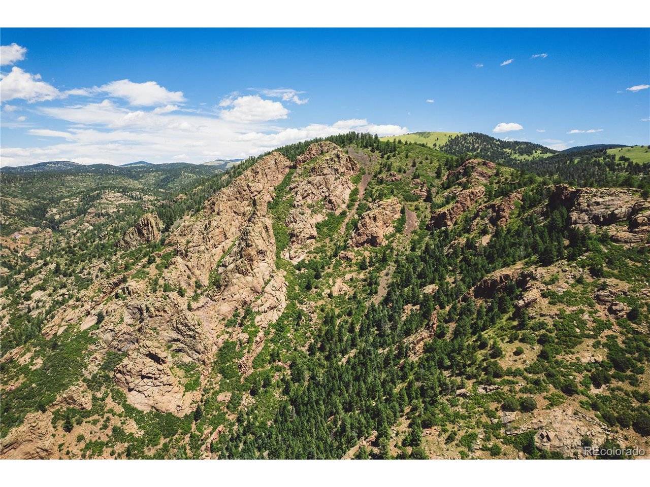 Shelf, Florissant, CO 80816