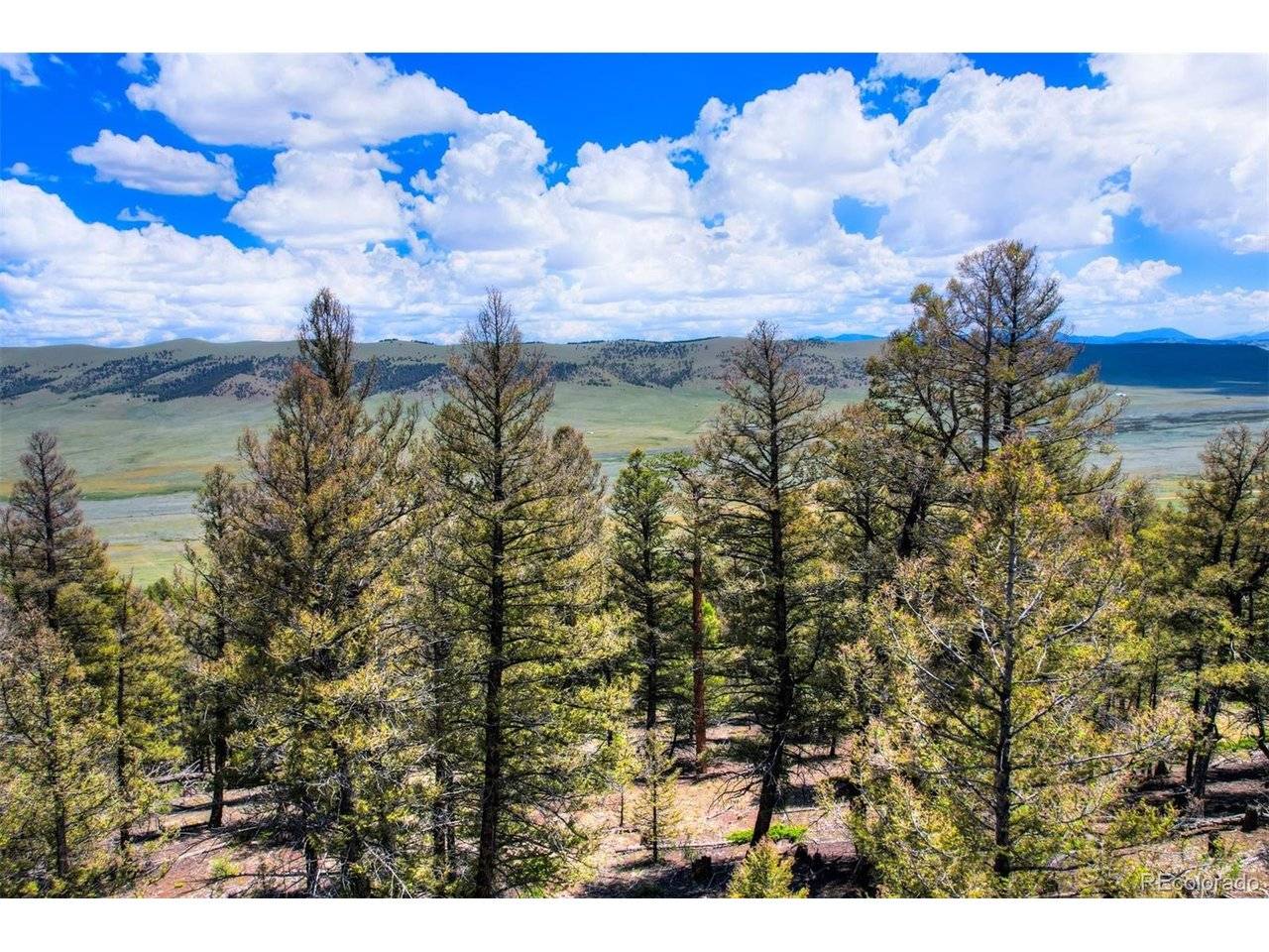 262 Middle Fork, Fairplay, CO 80440
