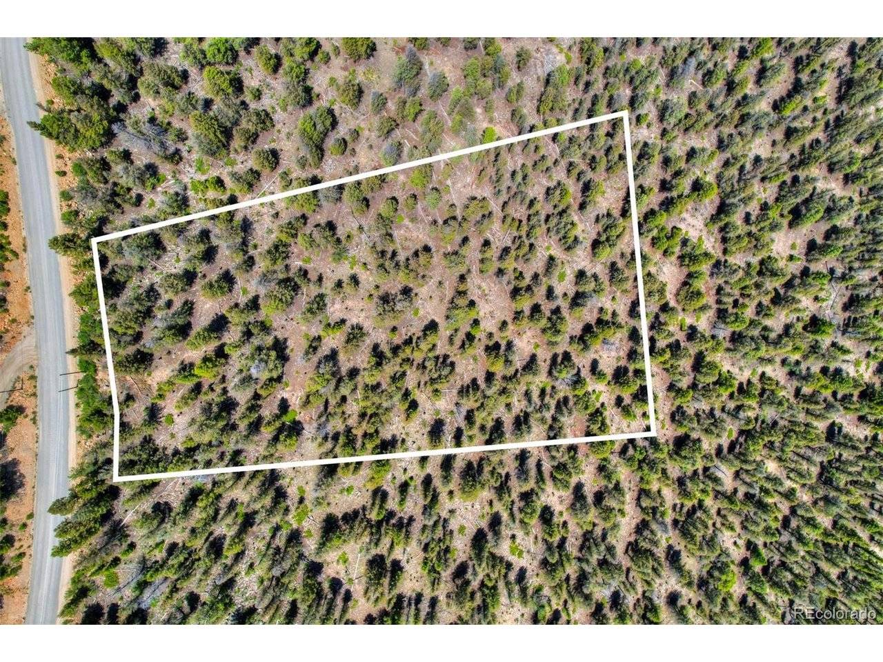 262 Middle Fork, Fairplay, CO 80440