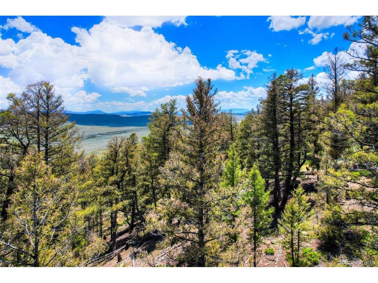 262 Middle Fork, Fairplay, CO 80440