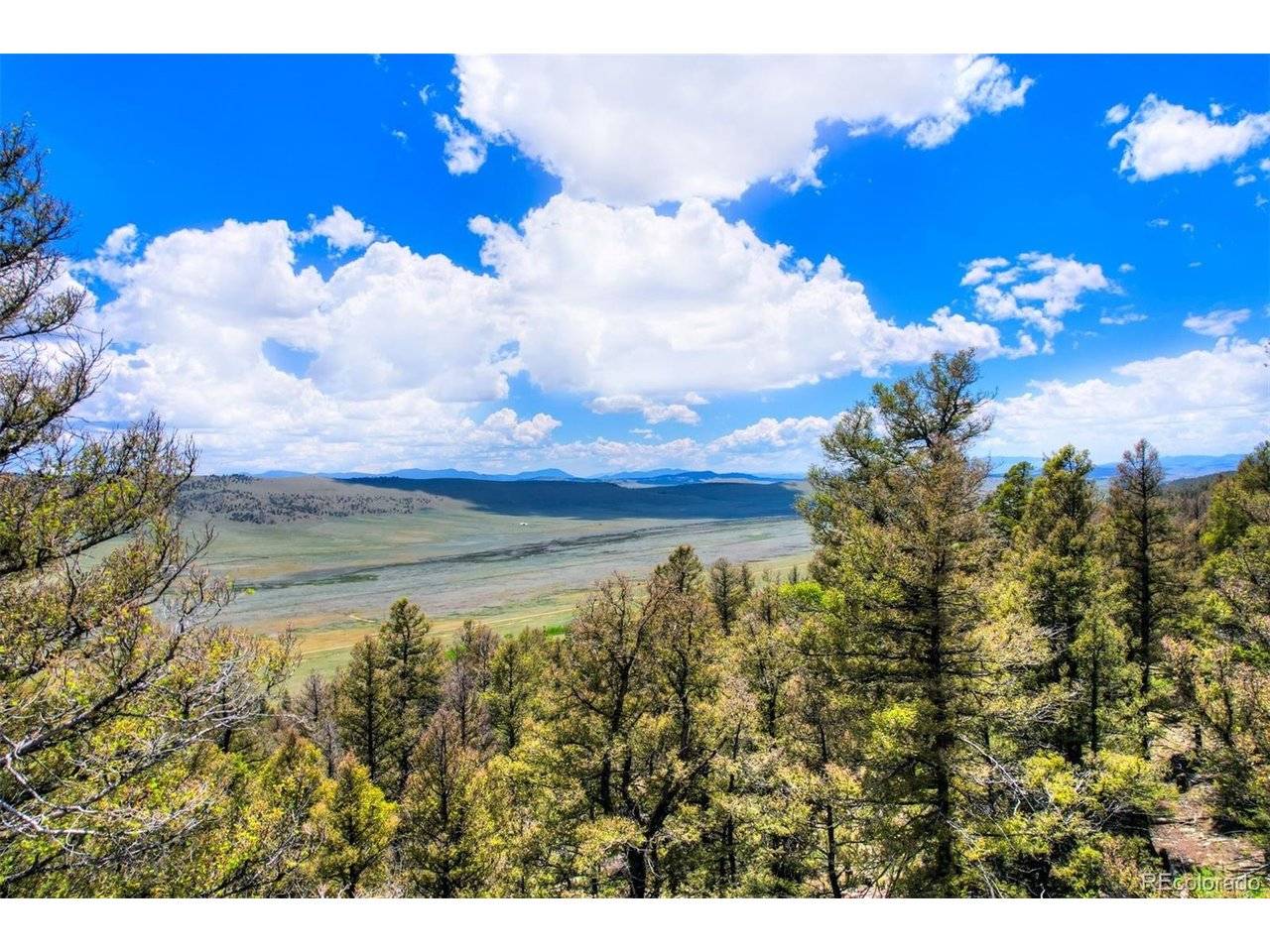 262 Middle Fork, Fairplay, CO 80440