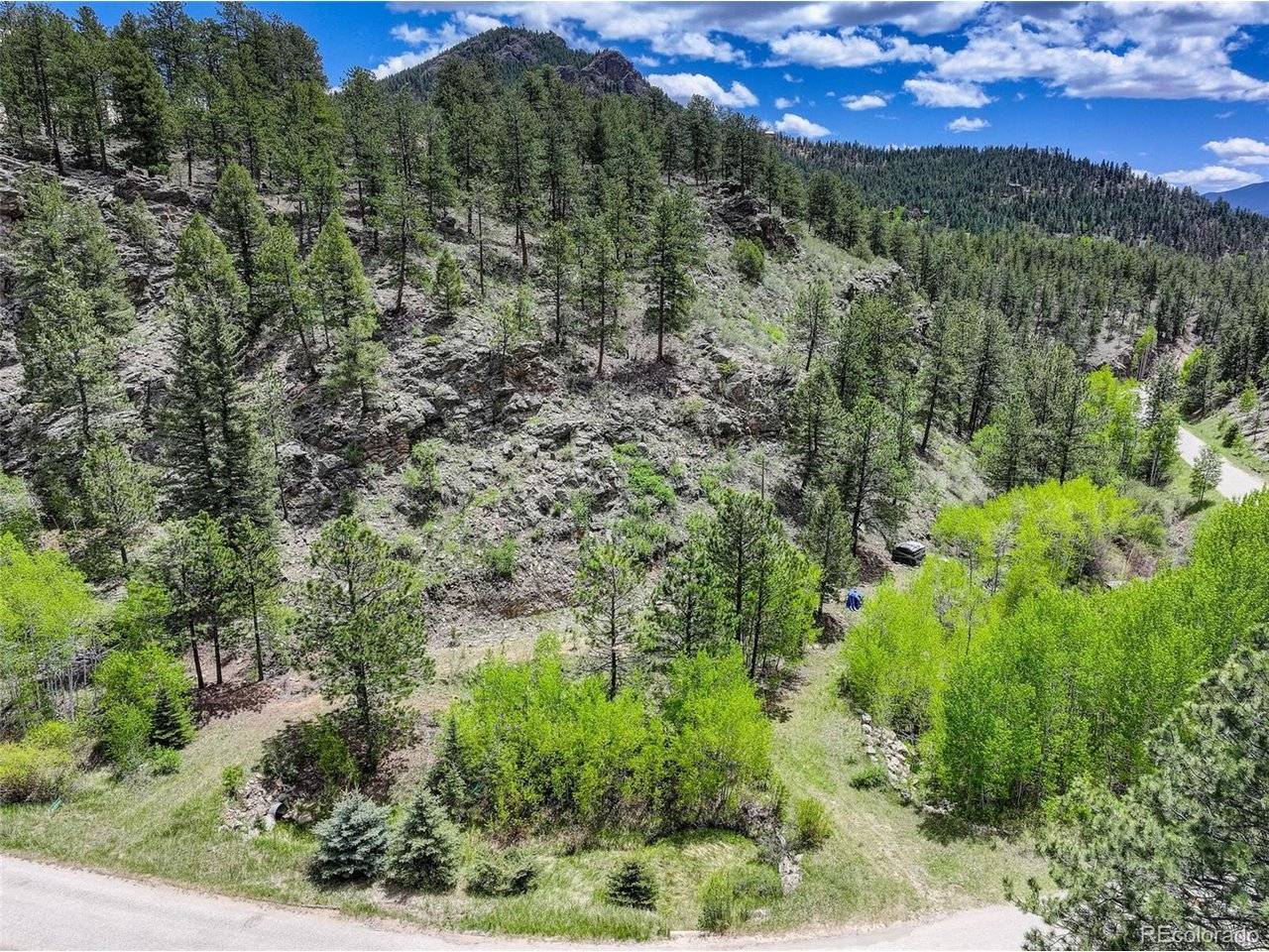 400 Crow Valley, Bailey, CO 80421