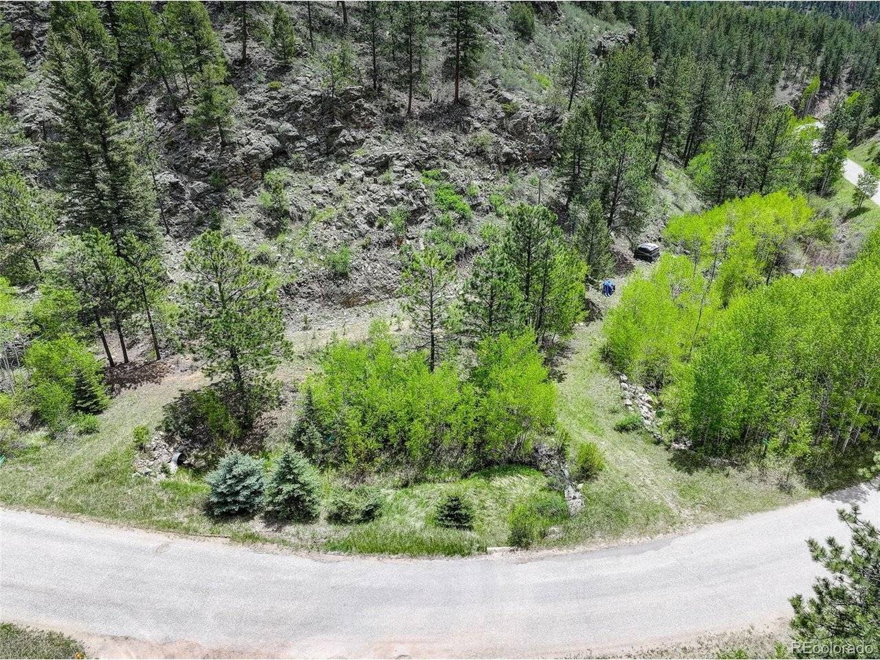 400 Crow Valley, Bailey, CO 80421