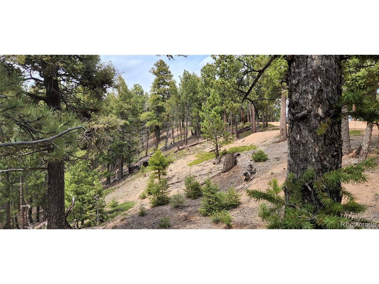 13985 Boulder, Larkspur, CO 80118