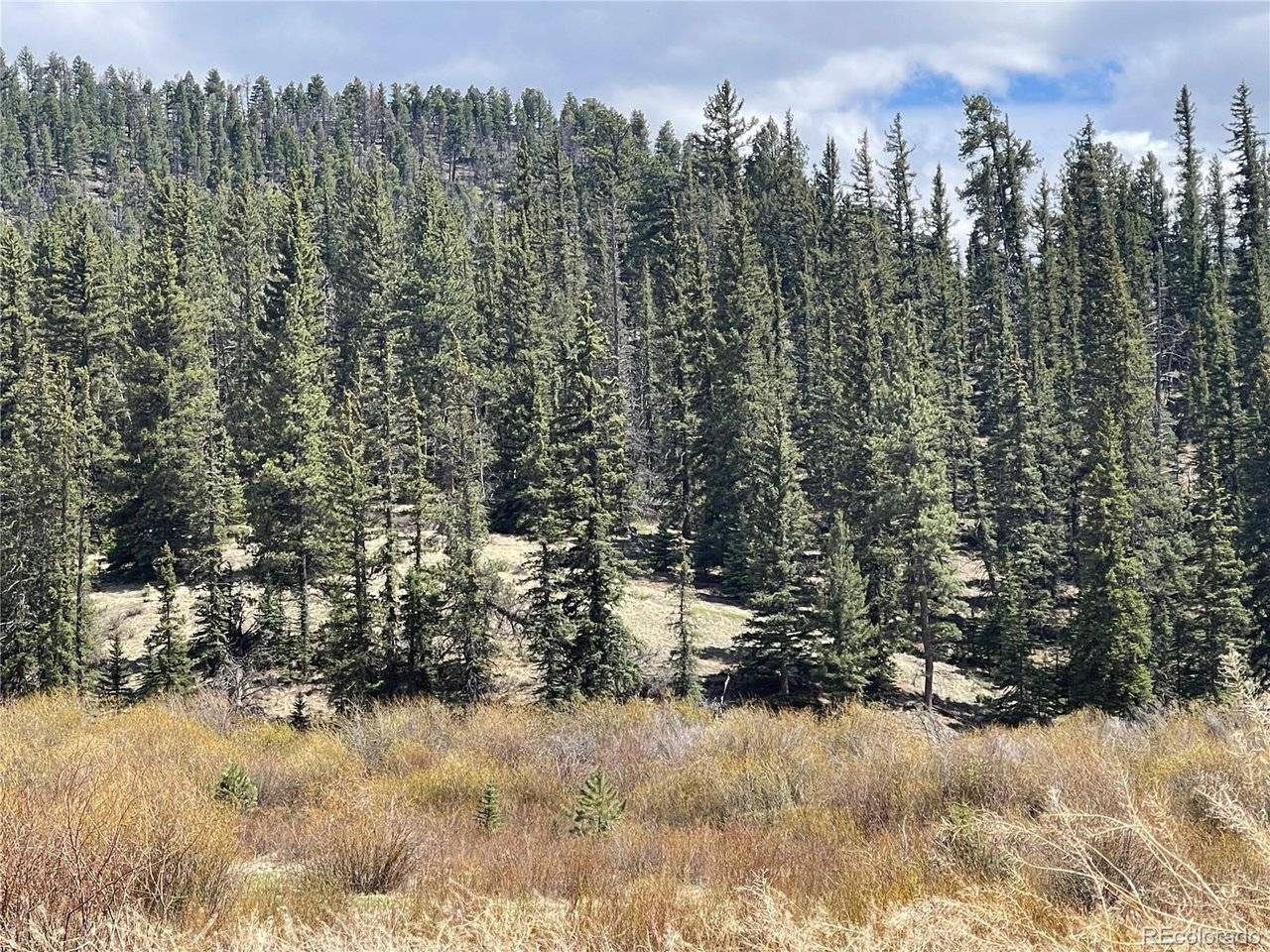 Address not disclosed, Florissant, CO 80816