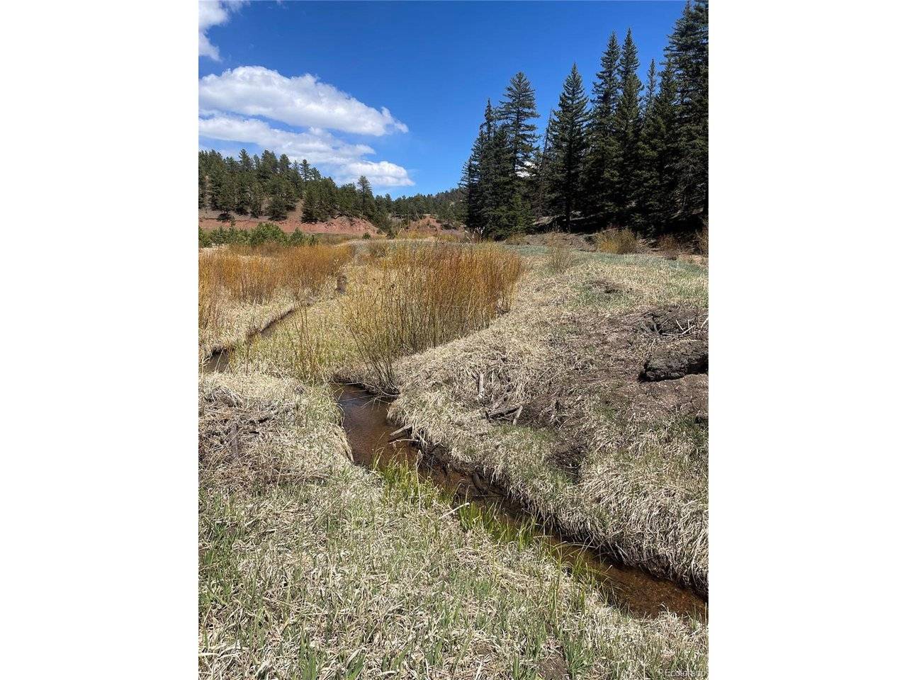 Address not disclosed, Florissant, CO 80816