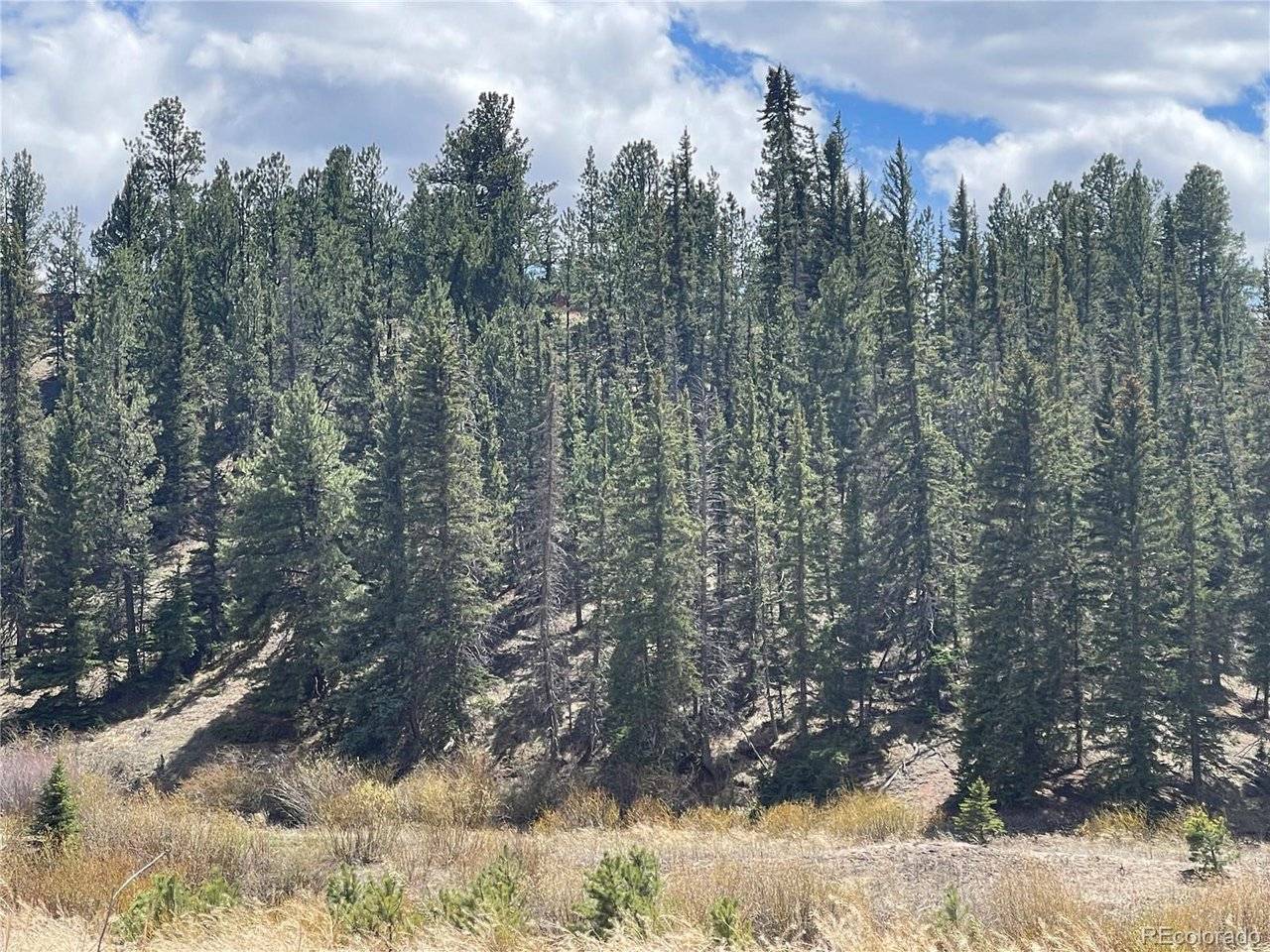 Address not disclosed, Florissant, CO 80816