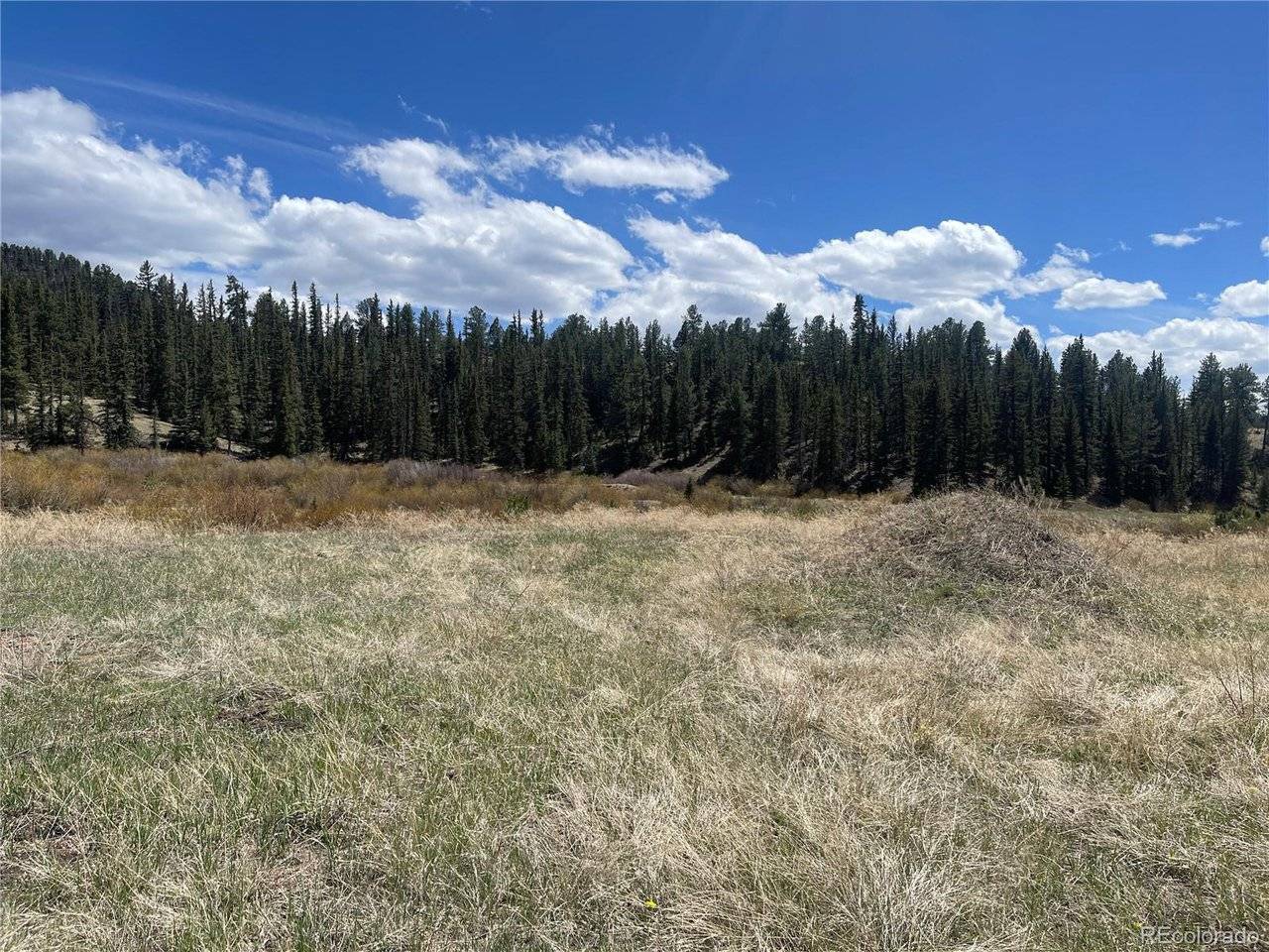 Address not disclosed, Florissant, CO 80816