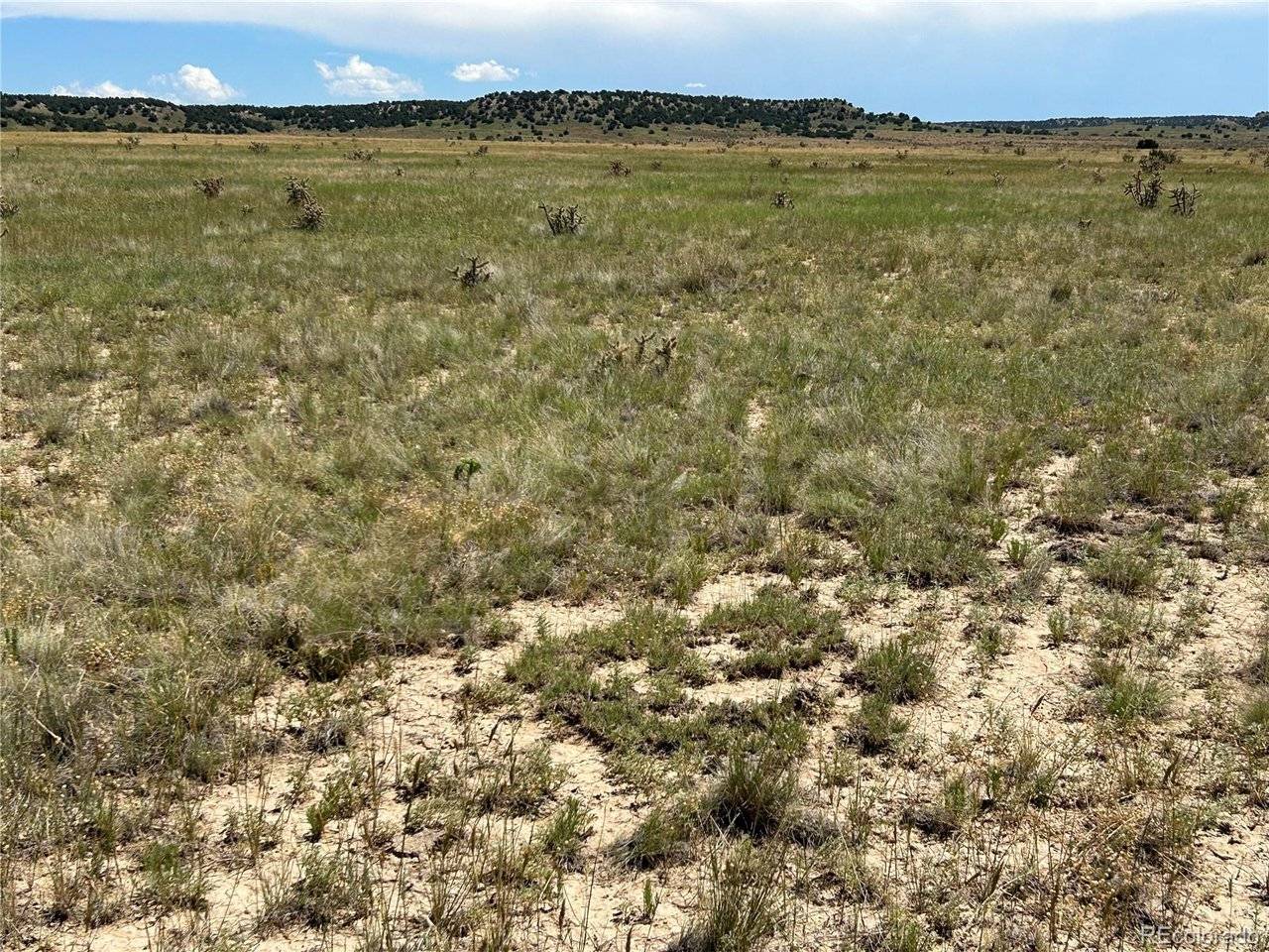 4 Outback Ranch, Model, CO 81059