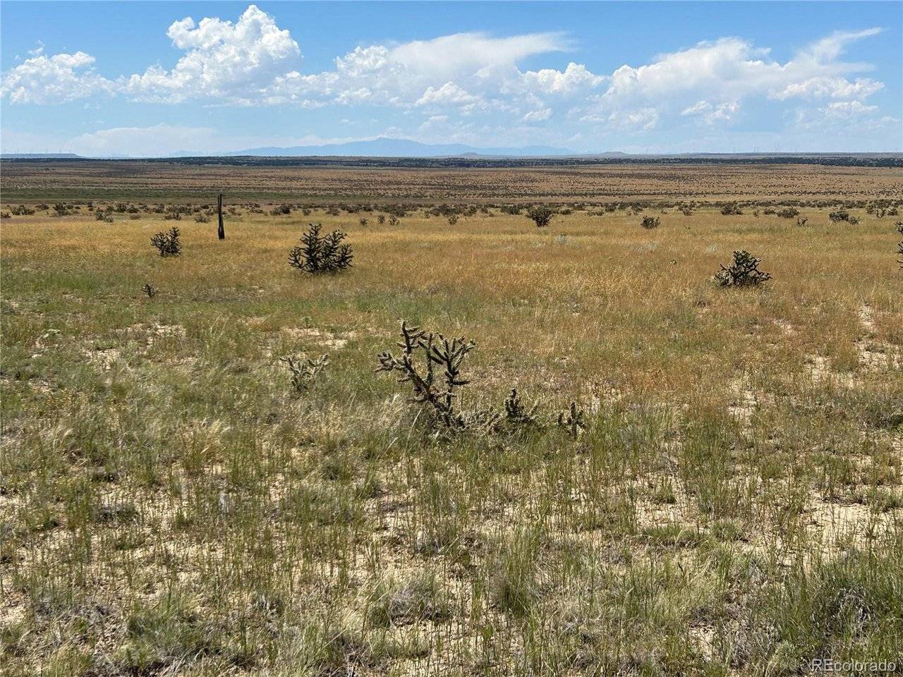 4 Outback Ranch, Model, CO 81059