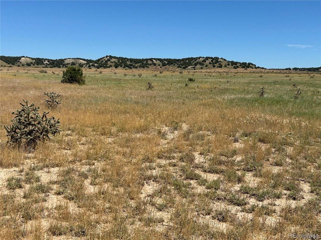 4 Outback Ranch, Model, CO 81059