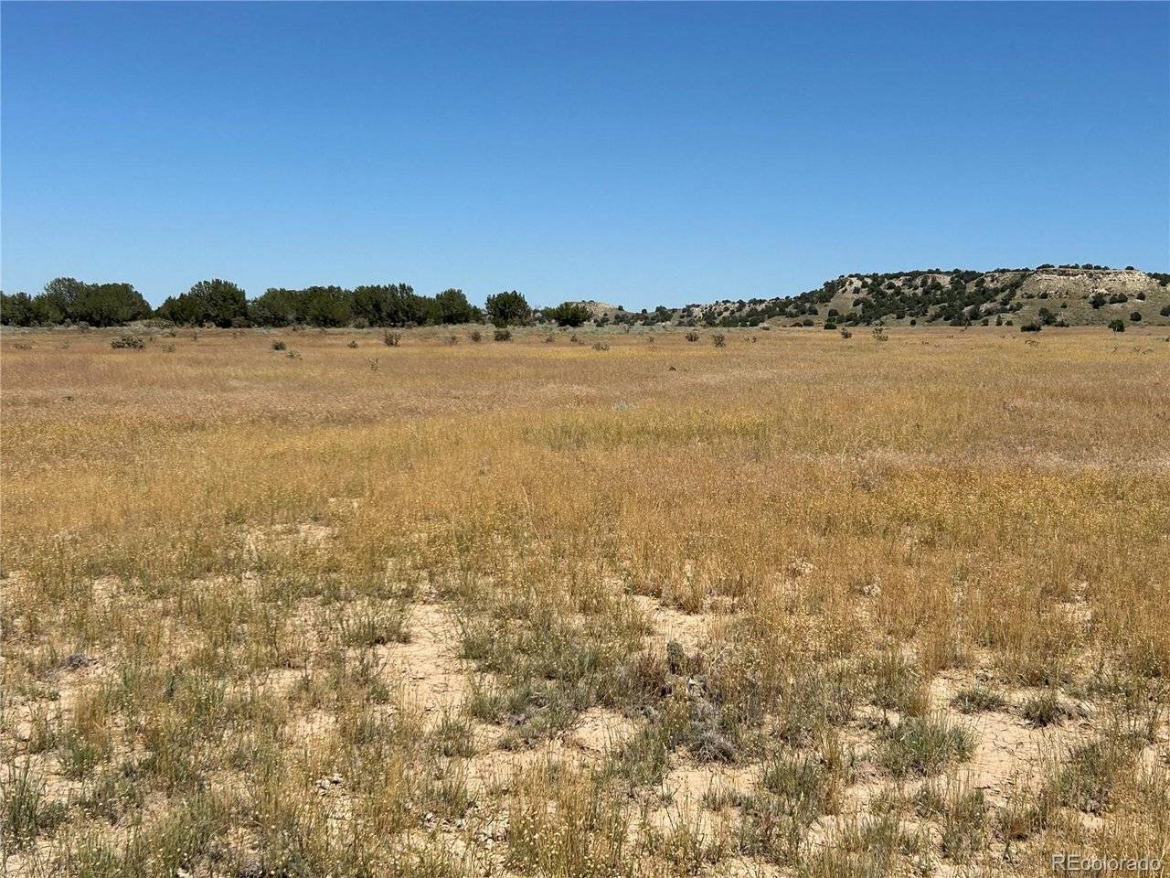 4 Outback Ranch, Model, CO 81059