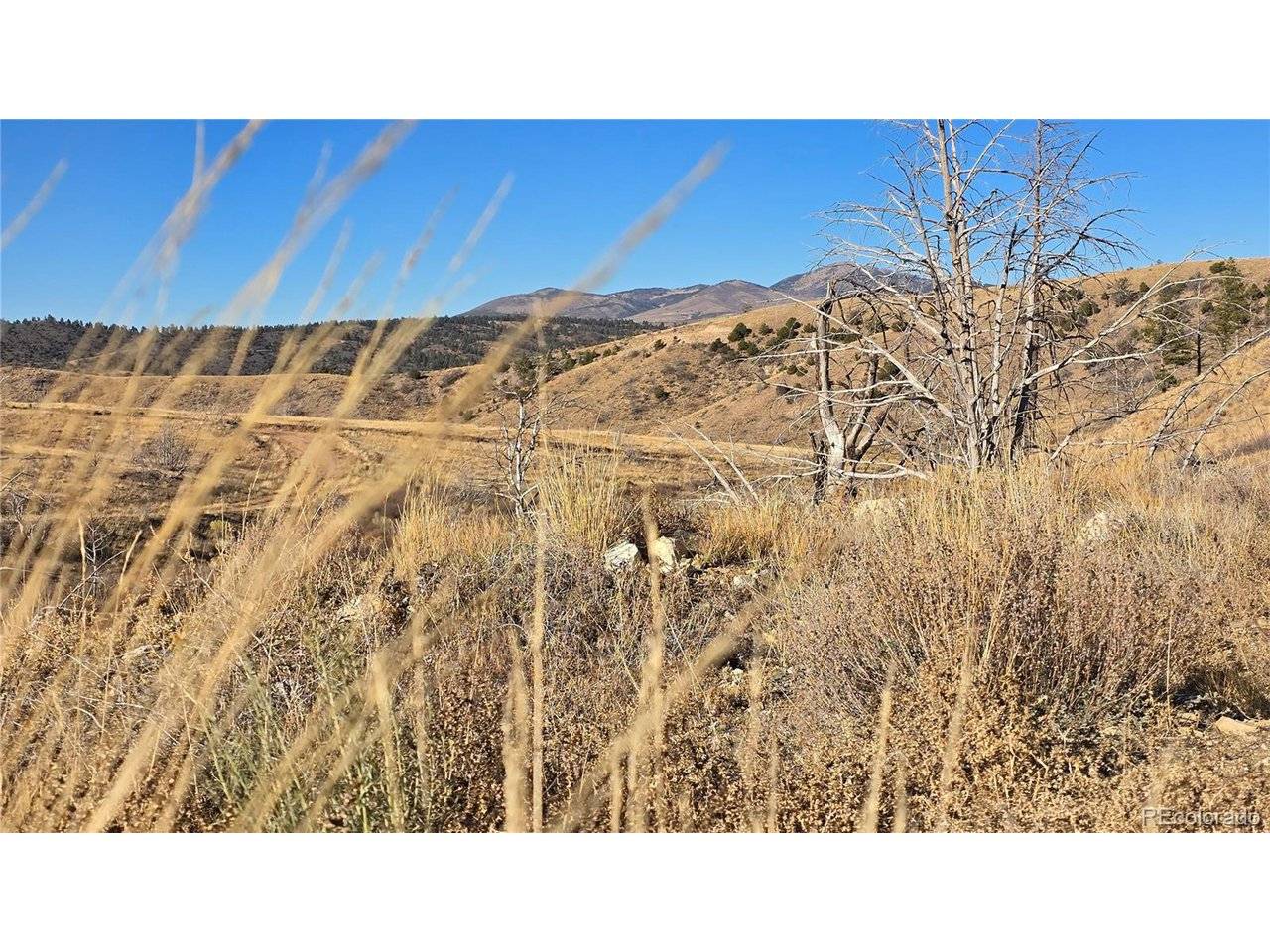 7741 Van Giesen, Fort Garland, CO 81133