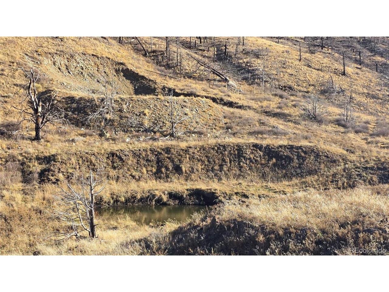 7741 Van Giesen, Fort Garland, CO 81133