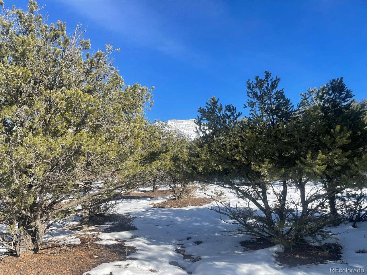 1195 Hilltop, Crestone, CO 81131