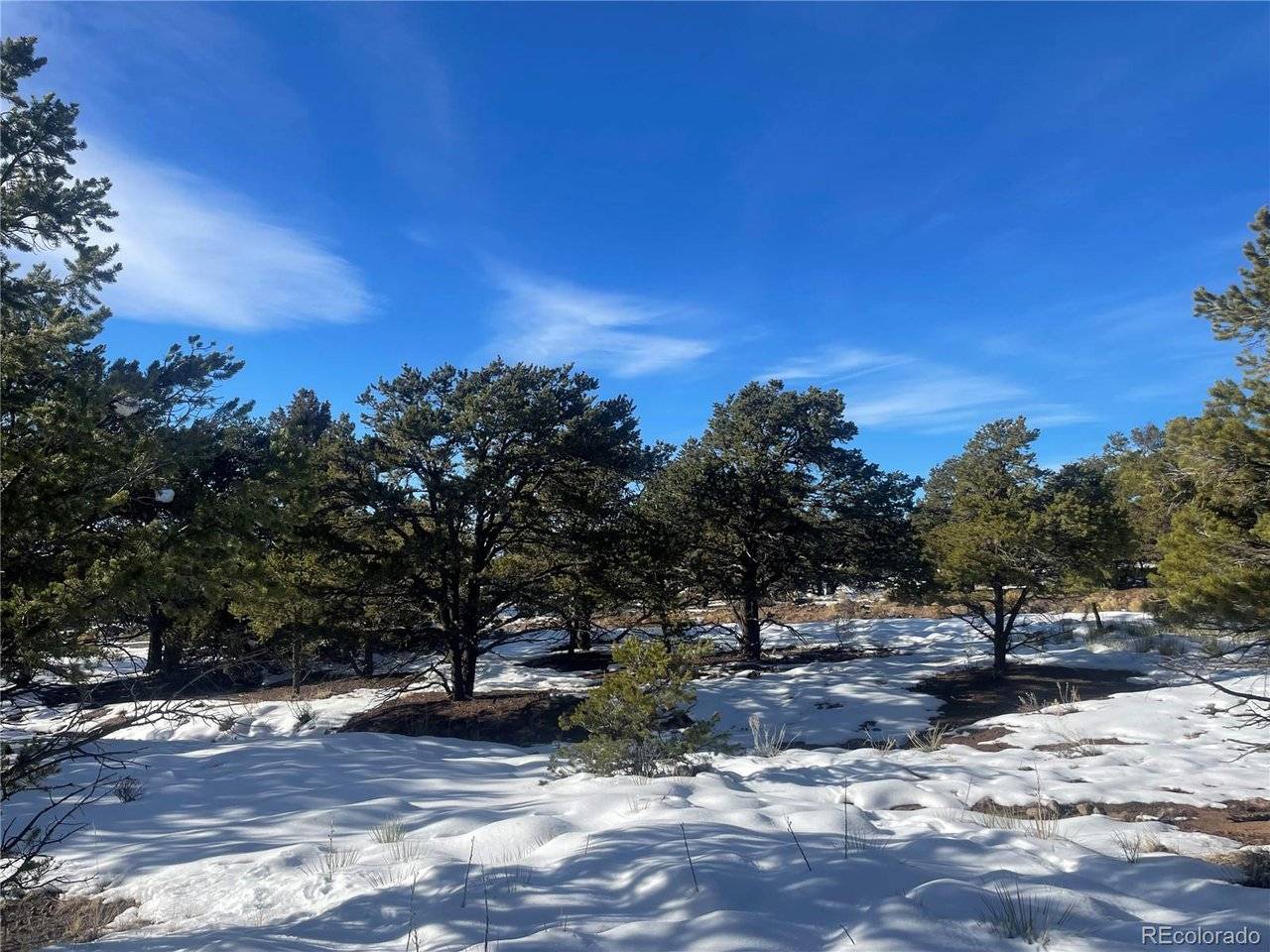 1195 Hilltop, Crestone, CO 81131