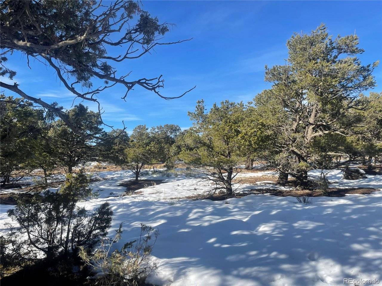 1195 Hilltop, Crestone, CO 81131
