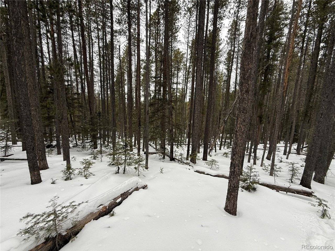 2805 Moir, Fort Garland, CO 81133